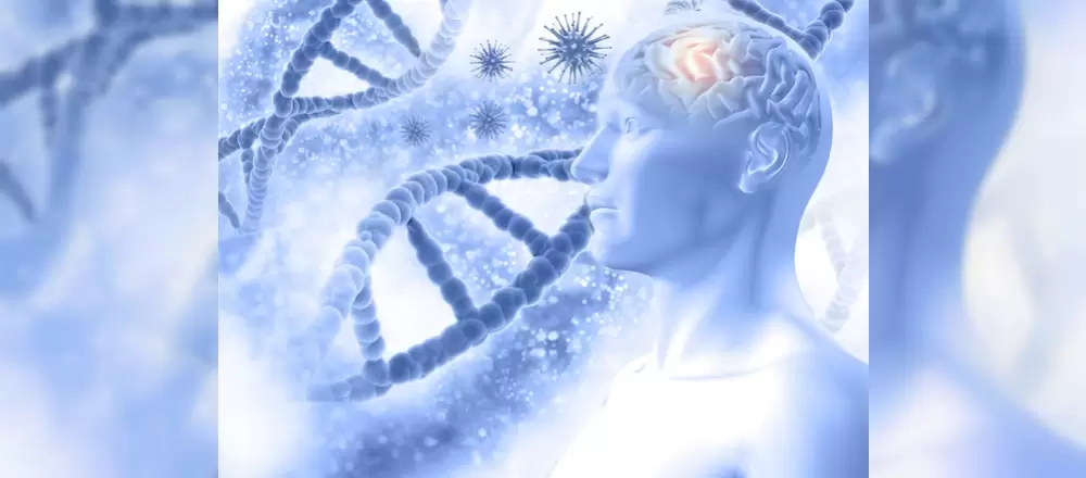 Nöropsikolojik testler